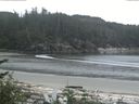 ./images/calvert/beach/20170529/beach20170529_070503.jpg