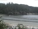 ./images/calvert/beach/20170529/beach20170529_071003.jpg