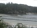 ./images/calvert/beach/20170529/beach20170529_075003.jpg