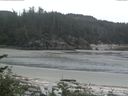 ./images/calvert/beach/20170529/beach20170529_095002.jpg