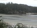 ./images/calvert/beach/20170529/beach20170529_122503.jpg