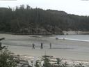./images/calvert/beach/20170529/beach20170529_133502.jpg