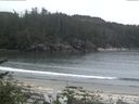 ./images/calvert/beach/20170530/beach20170530_060003.jpg