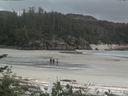 ./images/calvert/beach/20170530/beach20170530_131503.jpg