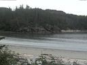 ./images/calvert/beach/20170530/beach20170530_185002.jpg