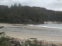 ./images/calvert/beach/20170531/beach20170531_144502.jpg