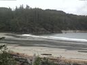 ./images/calvert/beach/20170601/beach20170601_101002.jpg