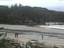 ./images/calvert/beach/20170601/beach20170601_121502.jpg