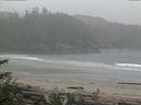 ./images/calvert/beach/20170602/beach20170602_100503.jpg