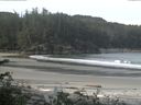 ./images/calvert/beach/20170605/beach20170605_084503.jpg
