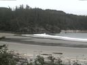 ./images/calvert/beach/20170605/beach20170605_144502.jpg