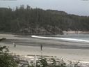 ./images/calvert/beach/20170607/beach20170607_165502.jpg