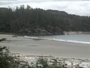 ./images/calvert/beach/20170610/beach20170610_115503.jpg
