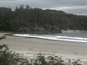 ./images/calvert/beach/20170614/beach20170614_143003.jpg