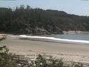 ./images/calvert/beach/20170616/beach20170616_160502.jpg