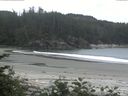 ./images/calvert/beach/20170617/beach20170617_092502.jpg