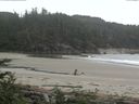 ./images/calvert/beach/20170619/beach20170619_152502.jpg