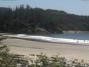 ./images/calvert/beach/20170622/beach20170622_144503.jpg