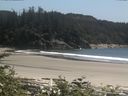 ./images/calvert/beach/20170622/beach20170622_150503.jpg
