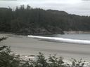 ./images/calvert/beach/20170625/beach20170625_122003.jpg