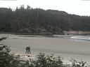./images/calvert/beach/20170626/beach20170626_112502.jpg