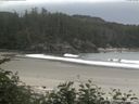 ./images/calvert/beach/20170630/beach20170630_085502.jpg