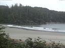 ./images/calvert/beach/20170702/beach20170702_071003.jpg