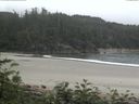 ./images/calvert/beach/20170702/beach20170702_115502.jpg