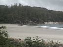 ./images/calvert/beach/20170702/beach20170702_123503.jpg