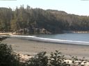 ./images/calvert/beach/20170703/beach20170703_094502.jpg