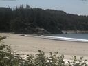 ./images/calvert/beach/20170703/beach20170703_132002.jpg