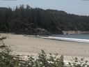 ./images/calvert/beach/20170703/beach20170703_133503.jpg