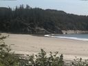./images/calvert/beach/20170703/beach20170703_150503.jpg