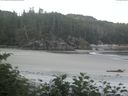 ./images/calvert/beach/20170706/beach20170706_070503.jpg