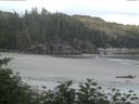 ./images/calvert/beach/20170706/beach20170706_072501.jpg