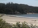 ./images/calvert/beach/20170706/beach20170706_143503.jpg