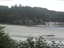 ./images/calvert/beach/20170708/beach20170708_073501.jpg