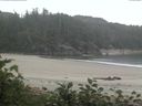 ./images/calvert/beach/20170708/beach20170708_202501.jpg
