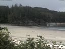 ./images/calvert/beach/20170709/beach20170709_103002.jpg