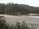./images/calvert/beach/20170709/beach20170709_103503.jpg