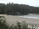 ./images/calvert/beach/20170709/beach20170709_114502.jpg