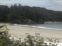 ./images/calvert/beach/20170709/beach20170709_115502.jpg
