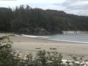./images/calvert/beach/20170709/beach20170709_120503.jpg