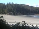 ./images/calvert/beach/20170710/beach20170710_090501.jpg