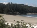 ./images/calvert/beach/20170710/beach20170710_113503.jpg