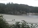 ./images/calvert/beach/20170711/beach20170711_082002.jpg