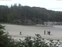 ./images/calvert/beach/20170711/beach20170711_085003.jpg