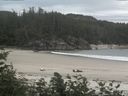 ./images/calvert/beach/20170711/beach20170711_122503.jpg