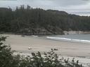 ./images/calvert/beach/20170711/beach20170711_123002.jpg