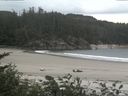 ./images/calvert/beach/20170711/beach20170711_124503.jpg